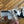 T-Logo set for front, rear and steering wheel for Model Y - caps
